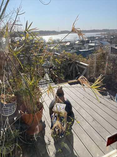 デッキからの眺望