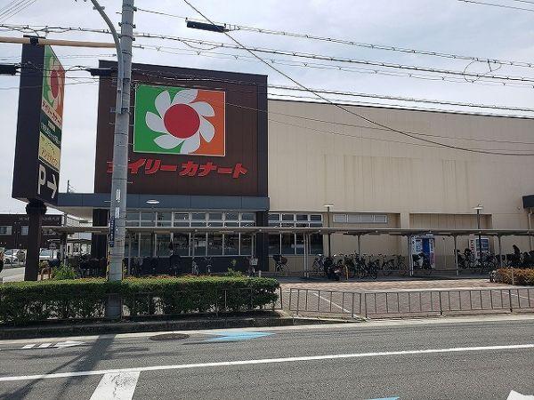 デイリーカナート北助松店　 900m 寫真撮影日：2024-06-08