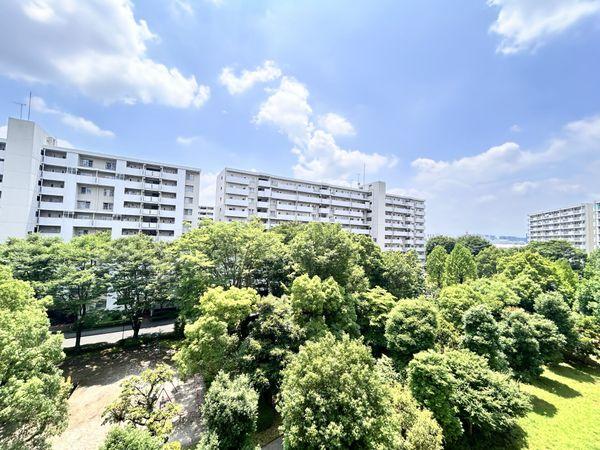 バルコニーからの眺望