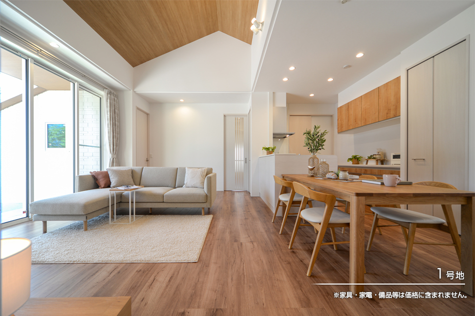 まちなかジーヴォ辰巳 (分譲住宅)