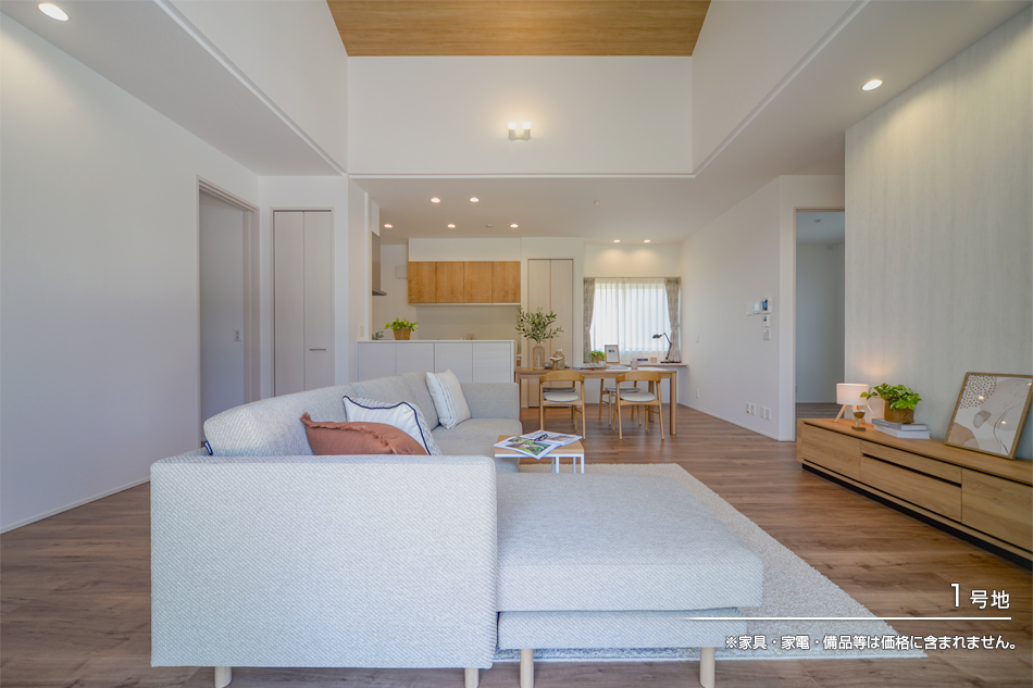 まちなかジーヴォ辰巳 (分譲住宅)