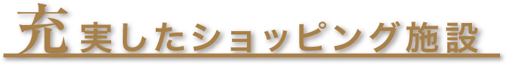 充実したショッピング施設(shè)