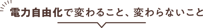 電力自由化で変わること、変わらないこと