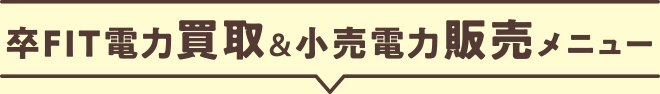 卒FIT電力買?。π与娏ω湁鹰幞衰濠`