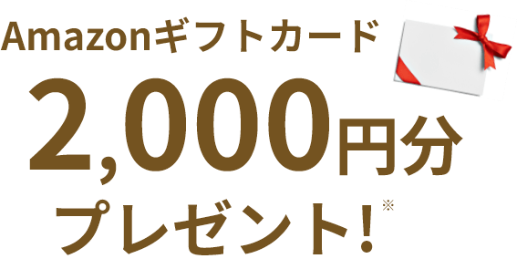 Amazonギフトカード2,000円分プレゼント!※
