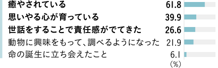 癒やされている 61.8％　思いやる心が育っている 39.9％　世話をすることで責任感がでてきた 26.6％　動物に興味をもって、調べるようになった 21.9％　命の誕生に立ち會えたこと 6.1％