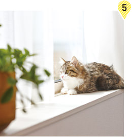 陽(yáng)だまりの窓辺スペース