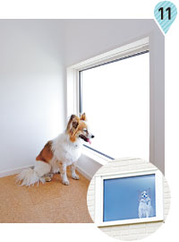 見(jiàn)晴らし窓