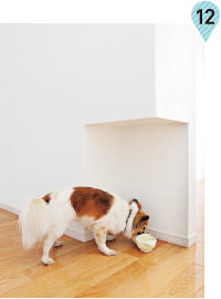 水飲み場(chǎng)