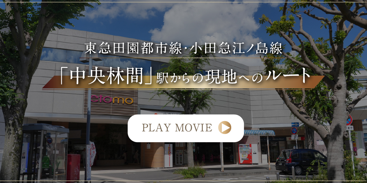 東急田園都市線?小田急江ノ島線「中央林間」駅からの現地へのルート動畫