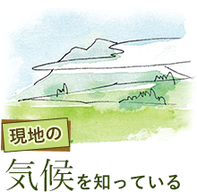 現地の気候を知っている