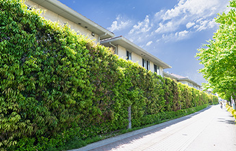 2018年現(xiàn)在の高垣