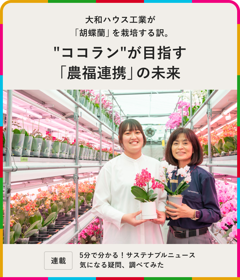 大和ハウス工業が「胡蝶蘭」を栽培する訳。"ココラン"が目指す「農福連攜」の未來