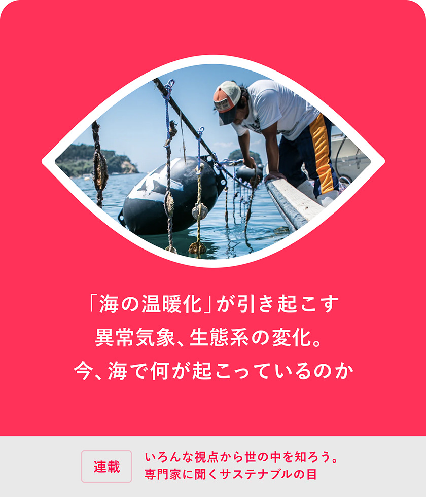 「海の溫暖化」が引き起こす異常気象、生態系の変化。今、海で何が起こっているのか