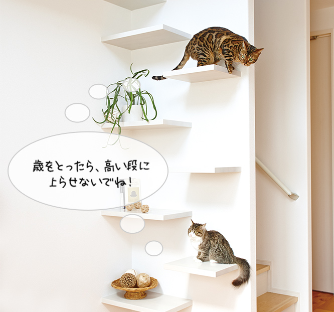 歳をとったら、高い段に 上らせないでね！