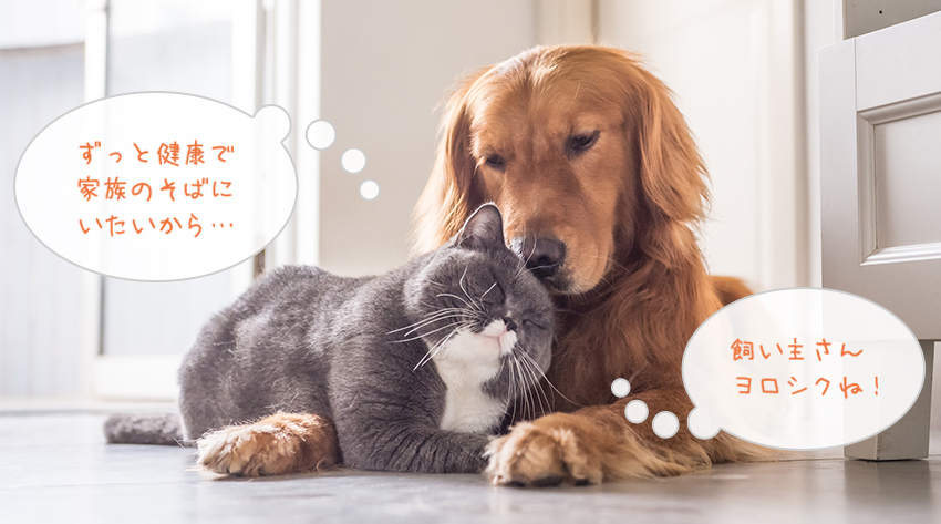 ずっと健康で家族のそばにいたいから…飼い主さんヨロシクね！