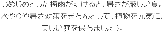 じめじめとした梅雨が明けると、暑さが厳しい夏。水やりや暑さ対策をきちんとして、植物を元気に、美しい庭を保ちましょう。
