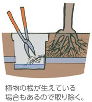植物の根が生えている場合もあるので取り除く。