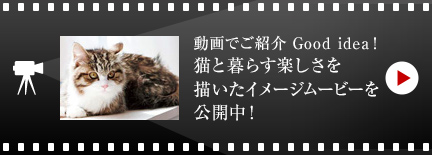 動畫でご紹介 Good idea！ 貓と暮らす楽しさを描いたイメージムービーを公開中！