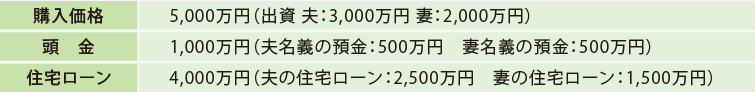 [購入価格]5,000萬円（出資 夫：3,000萬円 妻：2,000萬円） [頭金]1,000萬円（夫名義の預金：500萬円　妻名義の預金：500萬円）[住宅ローン]4,000萬円（夫の住宅ローン：2,500萬円　妻の住宅ローン：1,500萬円）