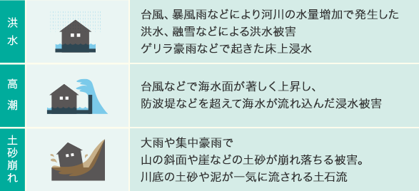 洪水：臺(tái)風(fēng)、暴風(fēng)雨などにより河川の水量増加で発生した洪水、融雪などによる洪水被害ゲリラ豪雨などで起きた床上浸水　高潮：臺(tái)風(fēng)などで海水面が著しく上昇し、防波堤などを超えて海水が流れ込んだ浸水被害　土砂崩れ：大雨や集中豪雨で山の斜面や崖などの土砂が崩れ落ちる被害。川底の土砂や泥が一気に流される土石流